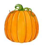 Watercolor Pumpkins with vines fall clipart png