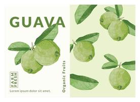 Guava fruit packaging design templates, watercolour style vector illustration.