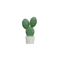 3D Isolated Plants In Pots png