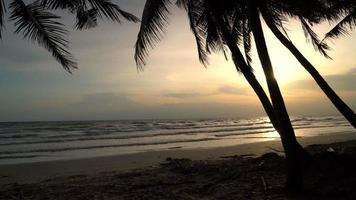 belo pôr do sol com praia do mar e coqueiro video