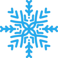 Natale fiocco di neve icona png