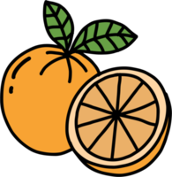 doodle freehand sketch drawing of orange fruit. png