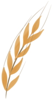 trigo outono sazonal botânico png
