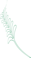 silhouette dessin contour laisser plante conception graphique décoration fond toile fond illustration png