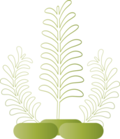 fleur naturelle laisser plante à base de plantes décoration fond toile de fond site web couverture page modèle conception graphique illustration png