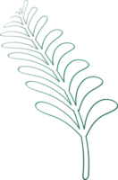 silhouette dessin contour laisser plante conception graphique décoration fond toile fond illustration png