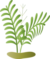fleur naturelle laisser plante à base de plantes décoration fond toile de fond site web couverture page modèle conception graphique illustration png