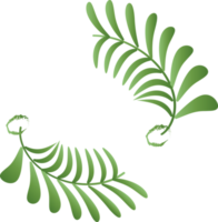 Flower leaf decoration wreath frame logo banner award art graphic design illustration png