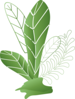 flor natural deixar planta decoração de ervas fundo pano de fundo padrão de página de capa do site ilustração de design gráfico png