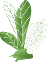 fleur naturelle laisser plante à base de plantes décoration fond toile de fond site web couverture page modèle conception graphique illustration png