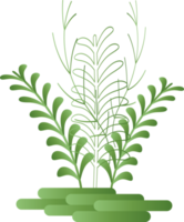 fleur naturelle laisser plante à base de plantes décoration fond toile de fond site web couverture page modèle conception graphique illustration png