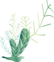 naturlig blomma lämna växt ört- dekoration bakgrund bakgrund hemsida omslag sida mönster grafisk design illustration png