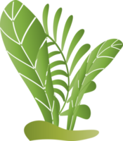 naturlig blomma lämna växt ört- dekoration bakgrund bakgrund hemsida omslag sida mönster grafisk design illustration png