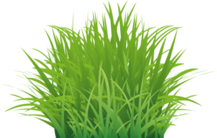 Realistic Green Grass png