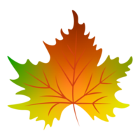 herfst blad element png