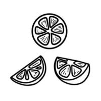Vector hand drawn set of lemon isolated on white background icon. Funny doodle slices of lemon for seasonal design, textile, decoration caffe or greeting card. Retro isolated sketches in vintage style
