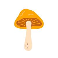 Lactarius, mushroom with an orange cap, vector flat illustration on white background