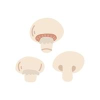 Champignons, vector flat illustration on white background