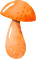 Watercolor colorful mushroom png