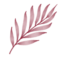 hoja acuarela pintada png