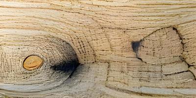 textura de madera marrón. fondo de textura de madera contrachapada foto