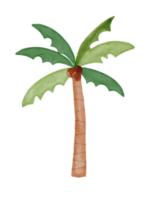 watercolor painted coconut tree png