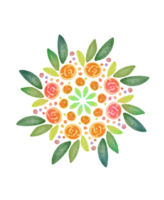 mandala de flores pintada em aquarela png