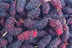 fresh mulberry closeup background photo