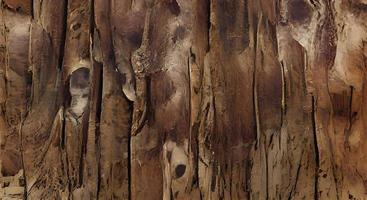 Wooden texture background. Teak wood illustration. photo