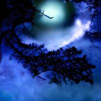 Fantasy forest landscape with dreaming sky with magic trees, stars, moon, fairy tale, imaginary world. photo