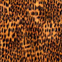 leopard rounds silk scarf design, fashion textile. photo