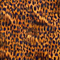 leopard rounds silk scarf design, fashion textile. photo