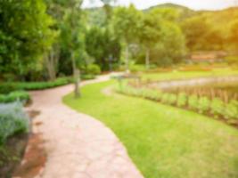 Walkway in the flowers garden blur background photo