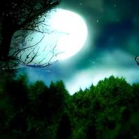 Fantasy and magical enchanted fairy tale landscape with forest, fabulous fairytale mysterious background, glowing moon ray in dark night photo