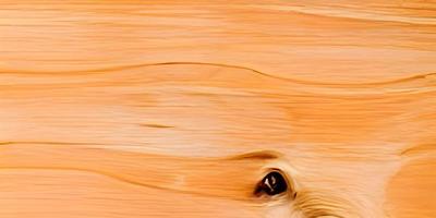 Wood texture and background. plywood texture. photo