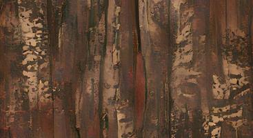 Wooden texture background. Teak wood. photo