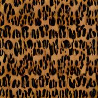 patrón de piel de leopardo. diseño africano. patrón textil de moda foto