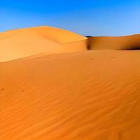 Sand dunes in the Sahara Desert photo