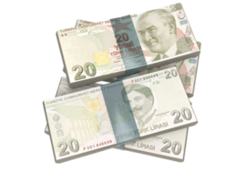 Turco lira moneta png