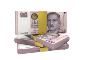 moeda de cingapura dólar png