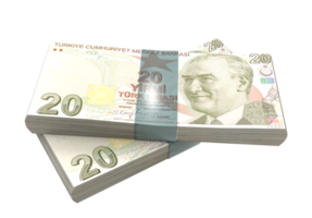 moneda lira turca png
