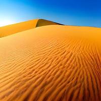 Sand dunes in the Sahara Desert photo