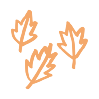 leaf hand drawn illustration design png