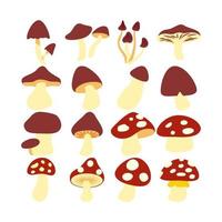 Illustration of various mushrooms set. Isolated on white background. Elements for autumn needs vector