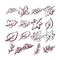 Lineart of various branch and leaves set. Isolated on white background. Elements for autumn needs vector