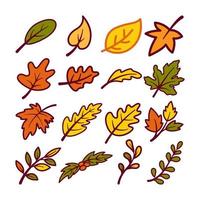 Illustration of various branch and leaves set. Isolated on white background. Elements for autumn needs vector