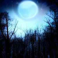 Fantasy and magical enchanted fairy tale landscape with forest, fabulous fairytale mysterious background, glowing moon ray in dark night photo