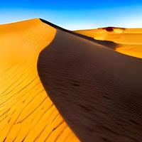 Sand dunes in the Sahara Desert photo