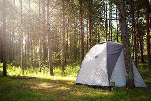 Installed tourist tent in nature in the forest. Domestic tourism, active summer holidays, family adventures. Ecotourism, social distance. Copy space photo