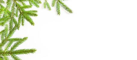 Natural frame of fresh green spruce branches on a white background. Christmas, new year, Christmas tree. Copy space photo